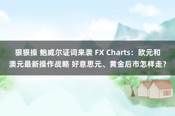 狠狠操 鲍威尔证词来袭 FX Charts：欧元和澳元最新操作战略 好意思元、黄金后市怎样走？