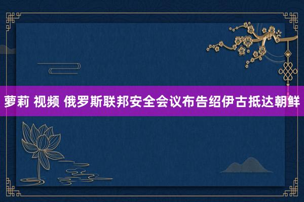 萝莉 视频 俄罗斯联邦安全会议布告绍伊古抵达朝鲜