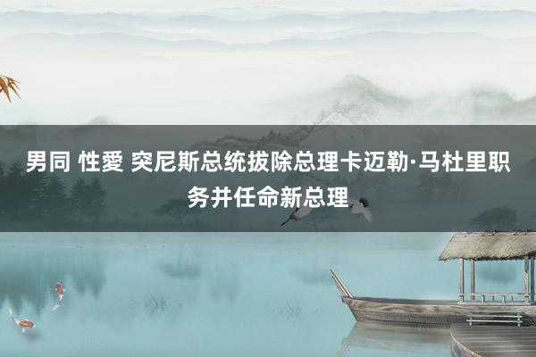 男同 性愛 突尼斯总统拔除总理卡迈勒·马杜里职务并任命新总理