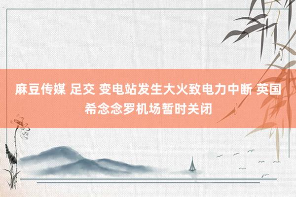 麻豆传媒 足交 变电站发生大火致电力中断 英国希念念罗机场暂