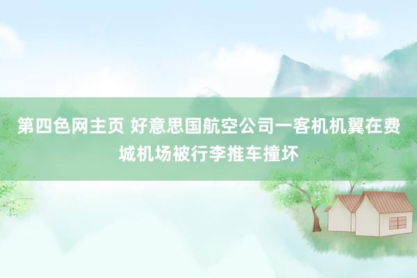 第四色网主页 好意思国航空公司一客机机翼在费城机场被行李推车