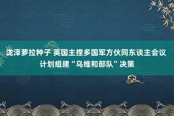 泷泽萝拉种子 英国主捏多国军方伙同东谈主会议 计划组建“乌维和部队”决策