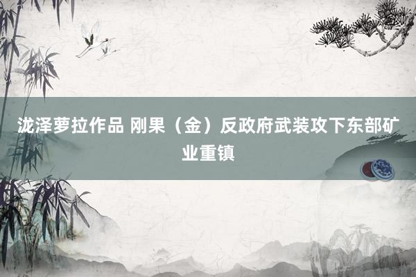 泷泽萝拉作品 刚果（金）反政府武装攻下东部矿业重镇