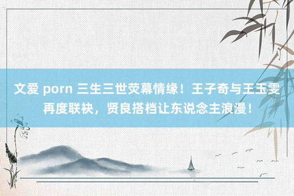 文爱 porn 三生三世荧幕情缘！王子奇与王玉雯再度联袂，贤