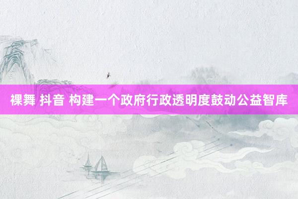 裸舞 抖音 构建一个政府行政透明度鼓动公益智库