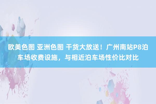 欧美色图 亚洲色图 干货大放送！广州南站P8泊车场收费设施，