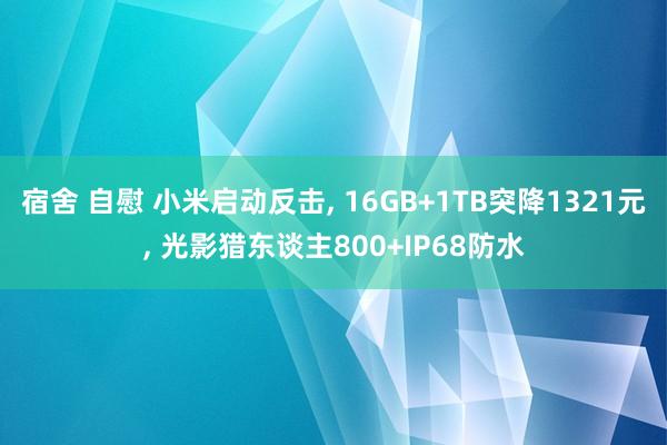 宿舍 自慰 小米启动反击, 16GB+1TB突降1321元,