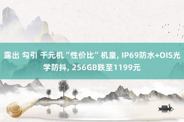 露出 勾引 千元机“性价比”机皇, IP69防水+OIS光学防抖, 256GB跌至1199元