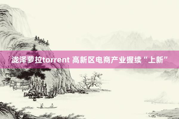 泷泽萝拉torrent 高新区电商产业握续“上新”