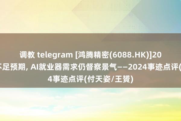 调教 telegram [鸿腾精密(6088.HK)]2024全年岁迹不足预期, AI就业器需求仍督察景气——2024事迹点评(付天姿/王贇)