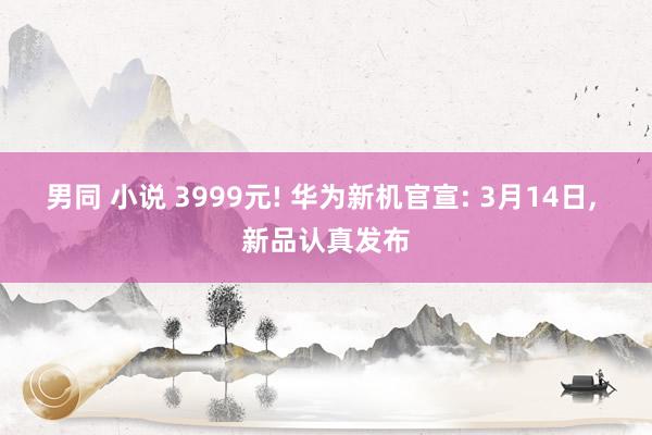 男同 小说 3999元! 华为新机官宣: 3月14日, 新品认真发布