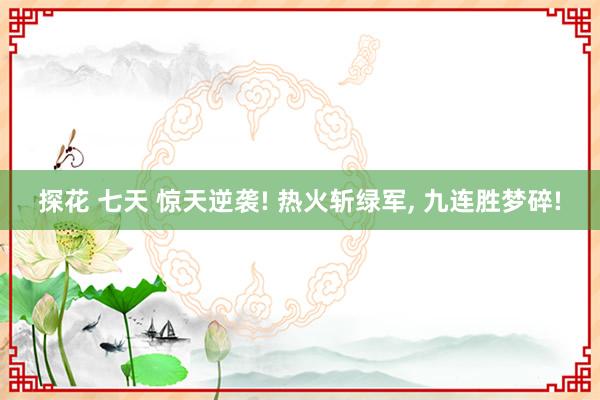 探花 七天 惊天逆袭! 热火斩绿军, 九连胜梦碎!
