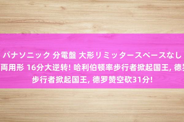 パナソニック 分電盤 大形リミッタースペースなし 露出・半埋込両用形 16分大逆转! 哈利伯顿率步行者掀起国王, 德罗赞空砍31分!