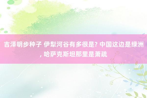 吉泽明步种子 伊犁河谷有多很是? 中国这边是绿洲, 哈萨克斯坦那里是萧疏
