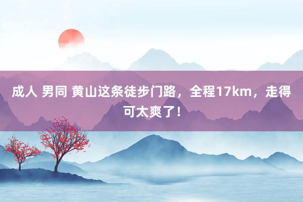 成人 男同 黄山这条徒步门路，全程17km，走得可太爽了！