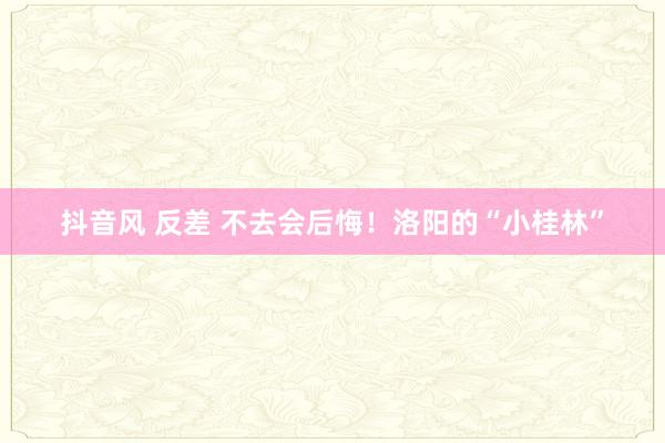 抖音风 反差 不去会后悔！洛阳的“小桂林”