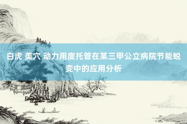 白虎 美穴 动力用度托管在某三甲公立病院节能蜕变中的应用分析