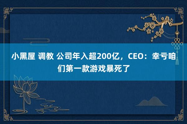 小黑屋 调教 公司年入超200亿，CEO：幸亏咱们第一款游戏