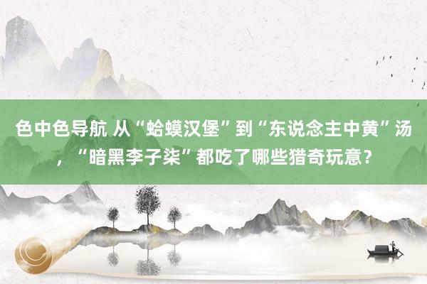 色中色导航 从“蛤蟆汉堡”到“东说念主中黄”汤，“暗黑李子柒